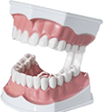 Взрослая и детская стоматология 170x125